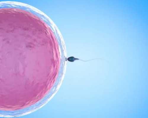 卵巢功能低下促排怀孕几率&弱精做试管都很难,免疫性不孕的病因和症状是什