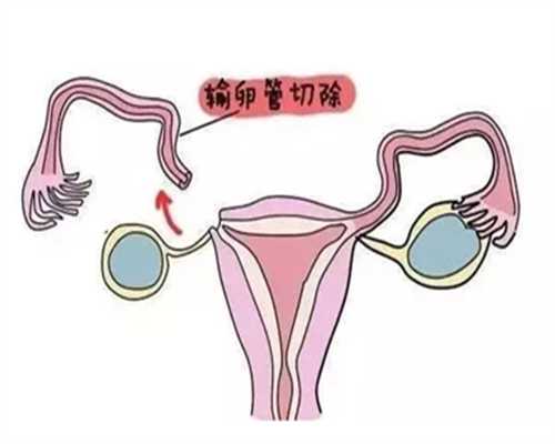 <b>南京代孕包成功在哪,上海做第三代试管要多少钱一次呢-试管移植后14天全过程</b>