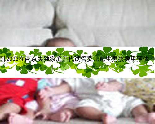 南京试管代怀政策|2023在南京失独家庭三代试管婴儿包生男孩费用预估-内附具体